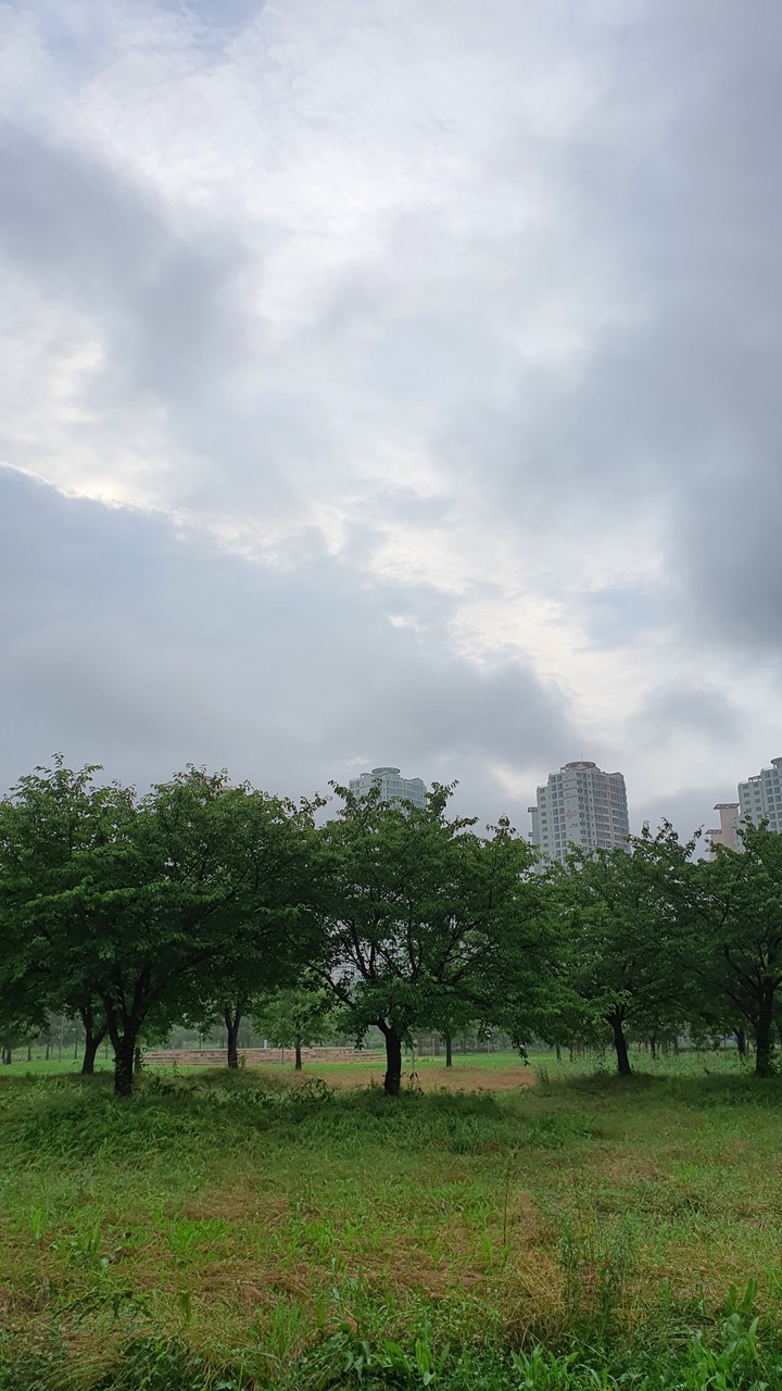 흐린 아침(cloudy morning)