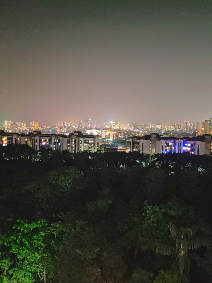 night life