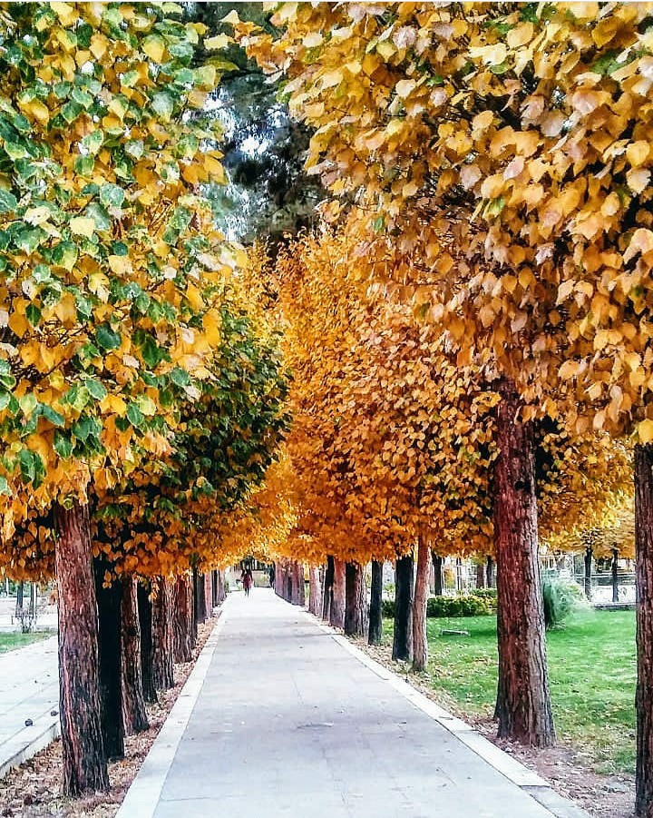 autumn