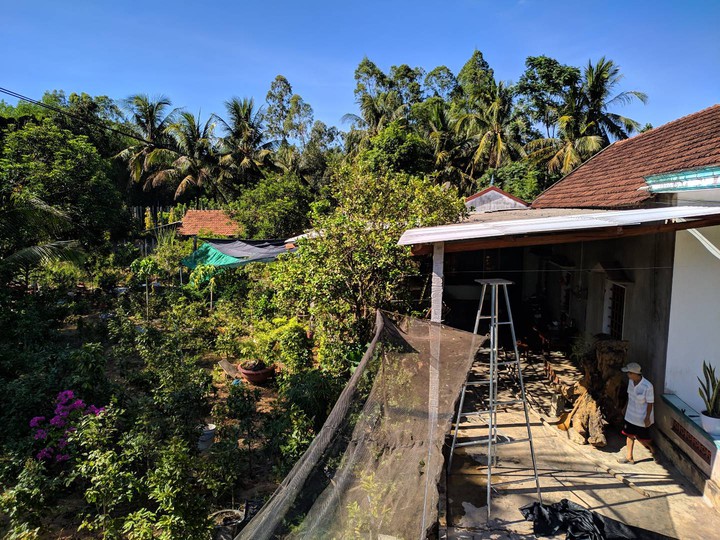 my house