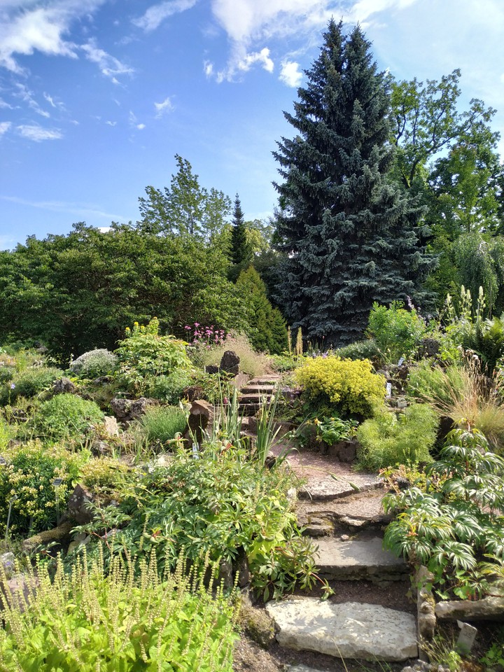 Botanical Garden