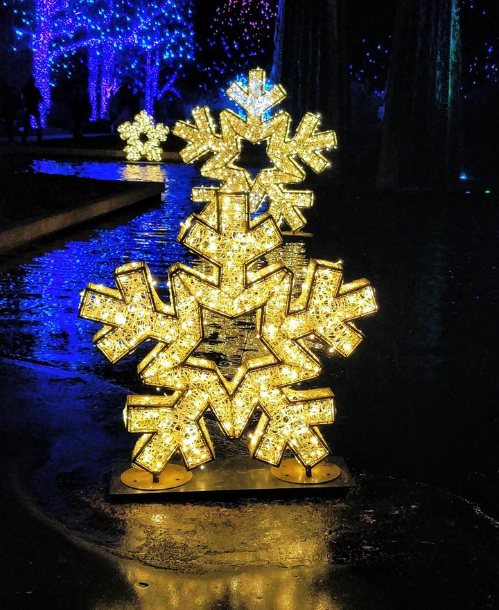lights
