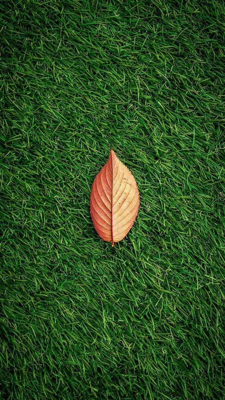 #android wallpaper 720×1280