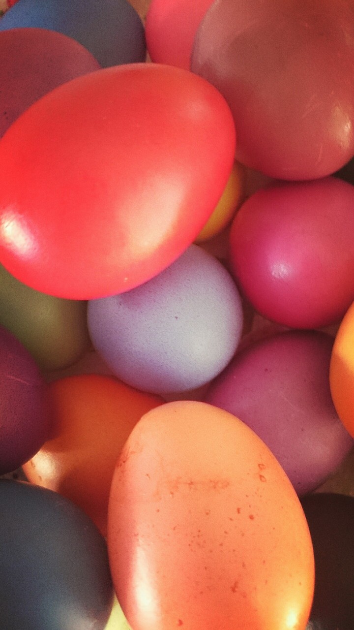 Eier