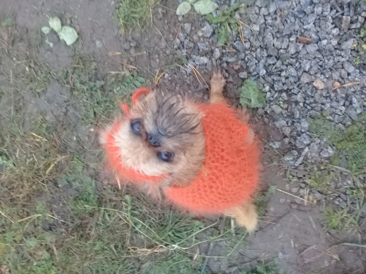 Боня