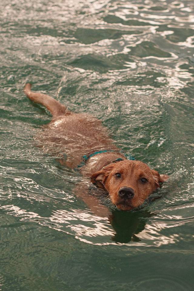 ❤