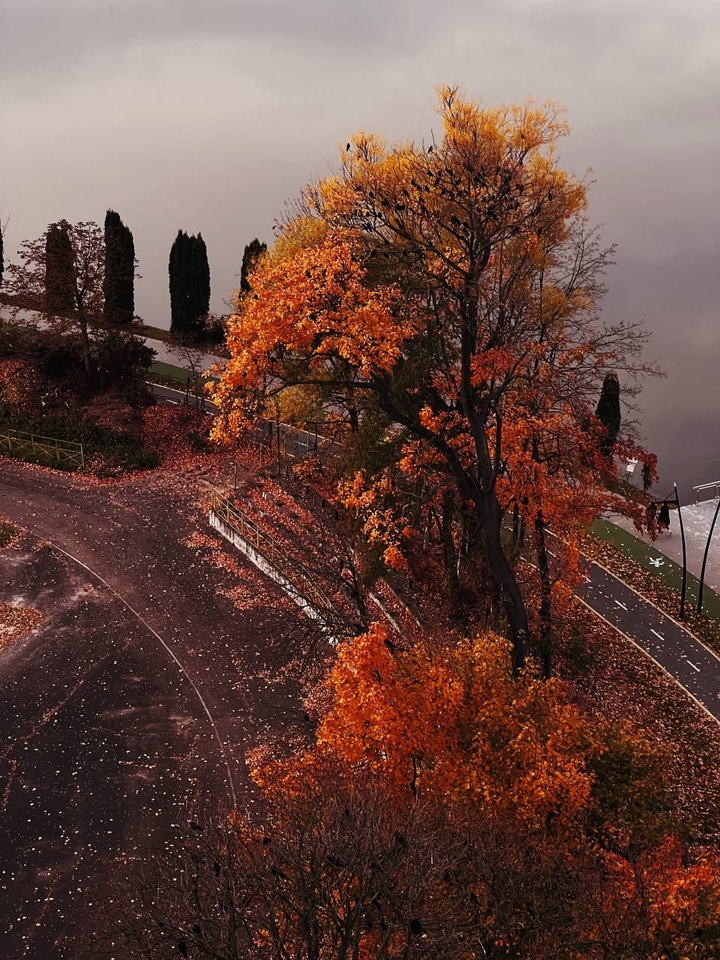 autumn