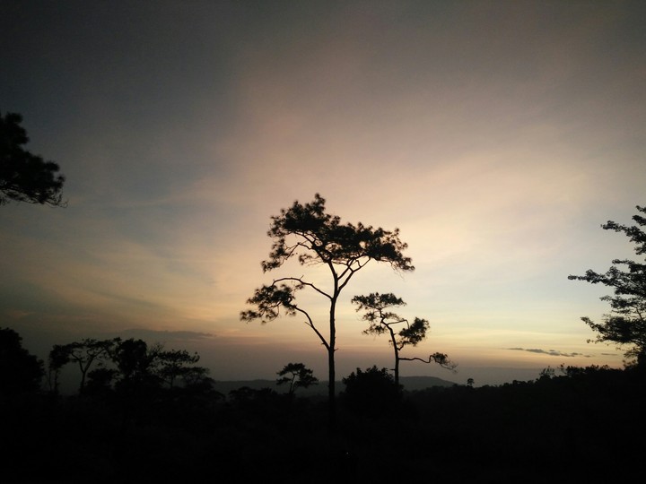atardecer