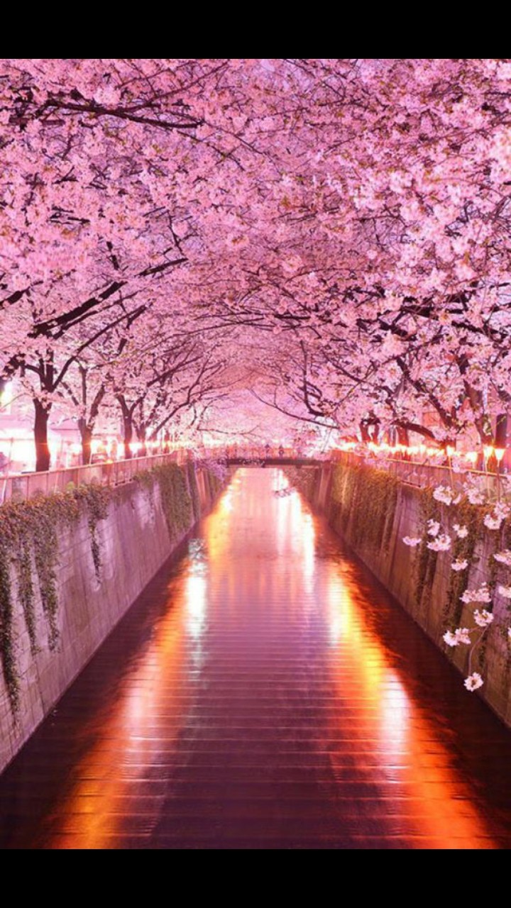beautiful life