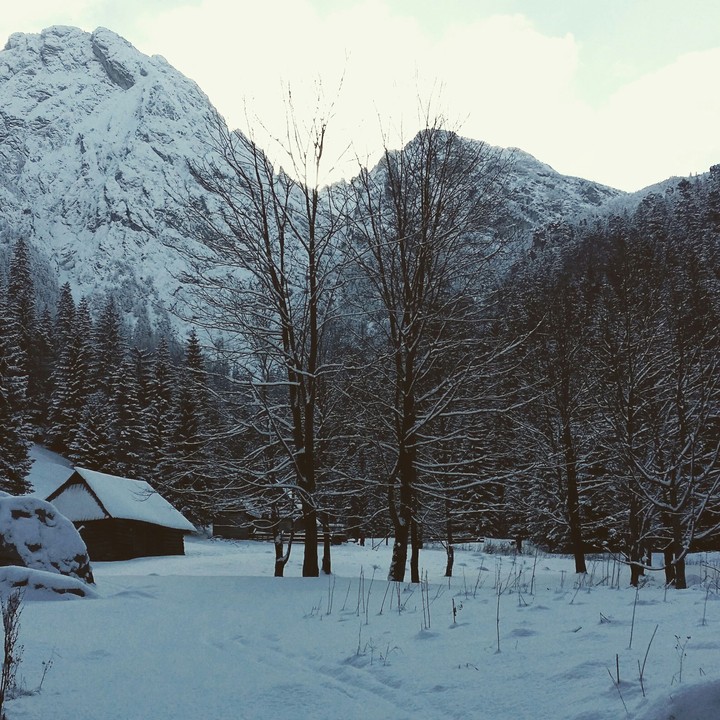 winter