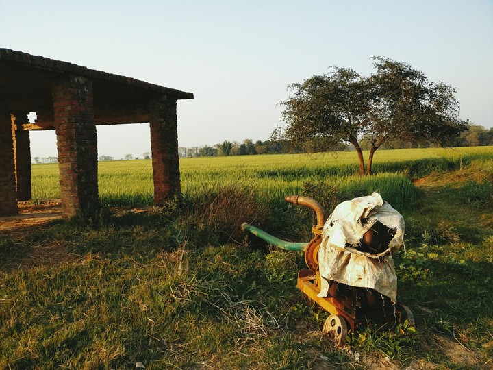 Farm