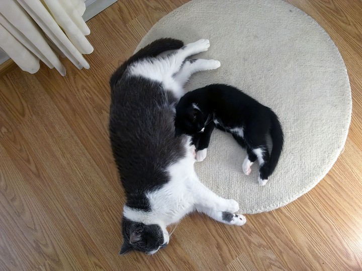 Big and little one. Friends.