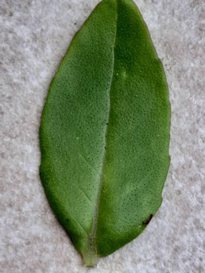 ??