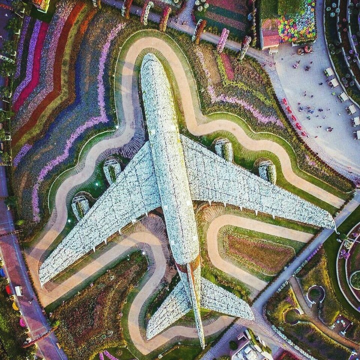 Plane...