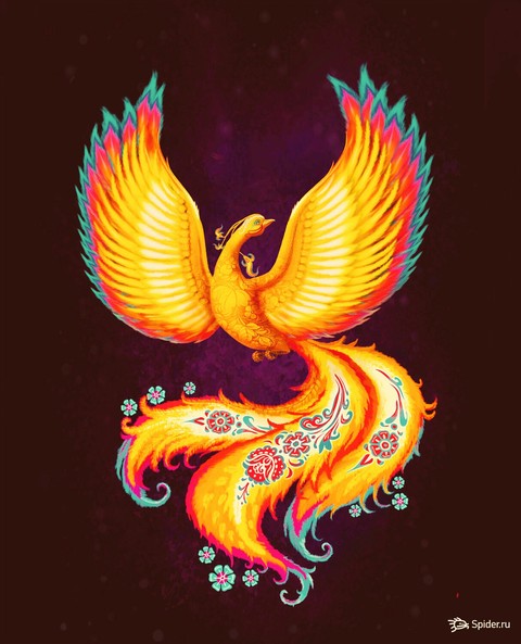 רקעים wing, organism
