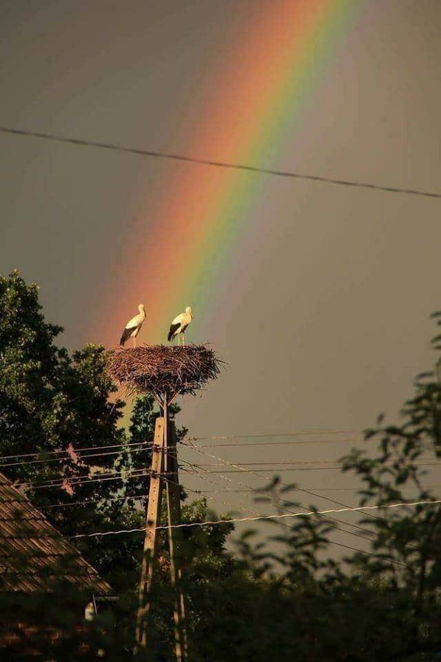 Україна