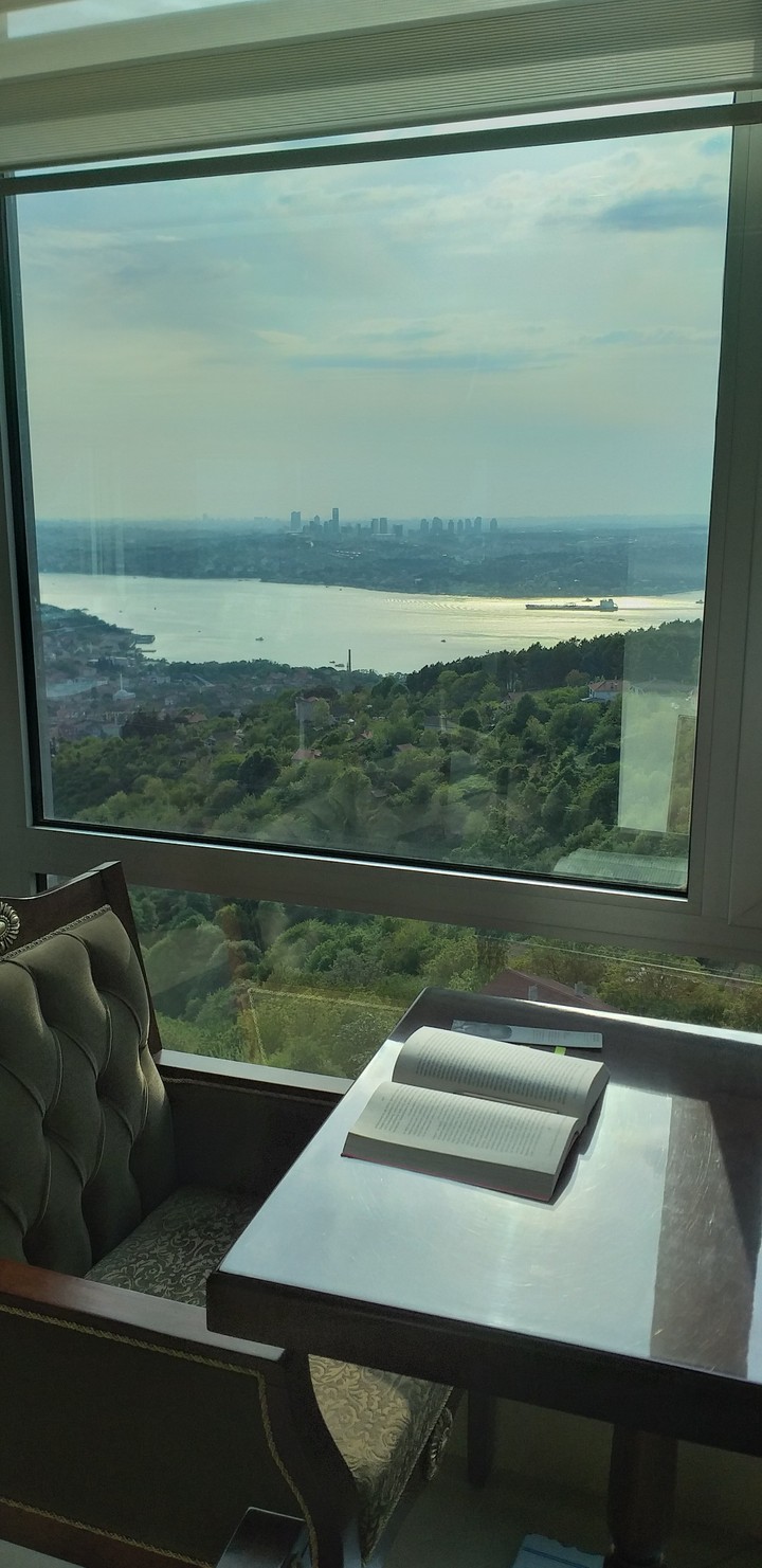 A library with sea view