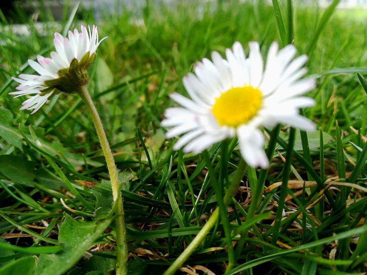 Spring is coming...