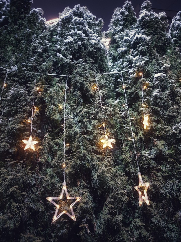 stars