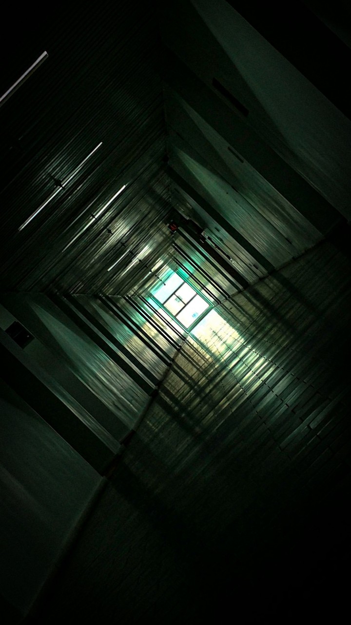 Dentro da minha Matrix