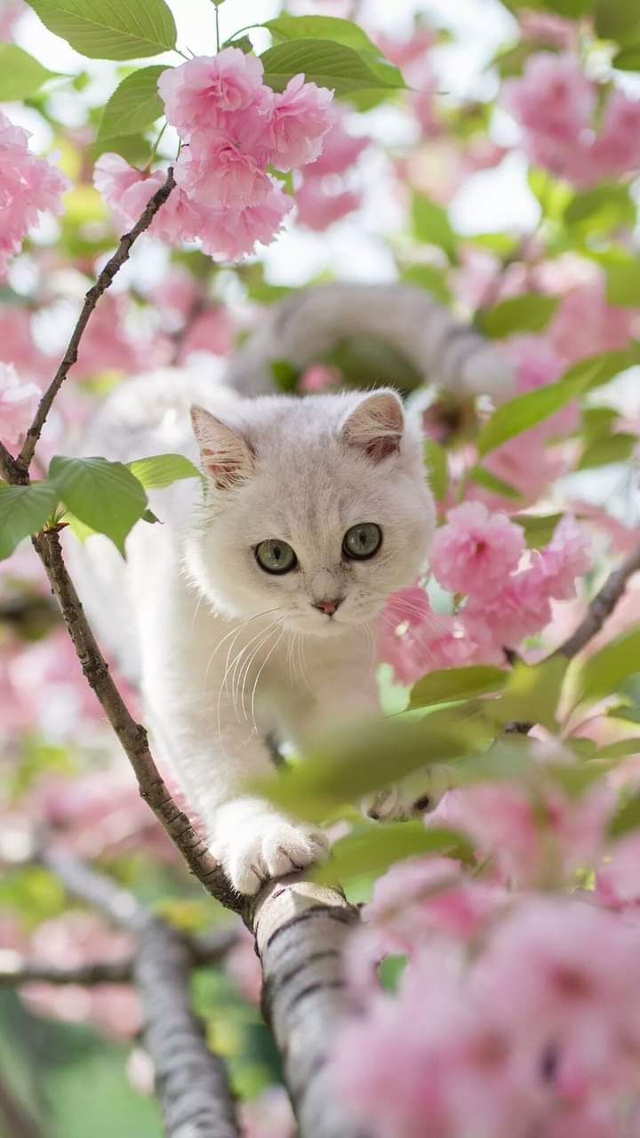 ❤