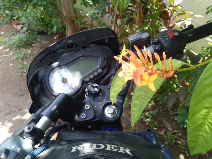 flowers with bike ?