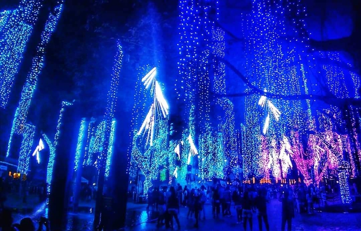 Festival of the Lights