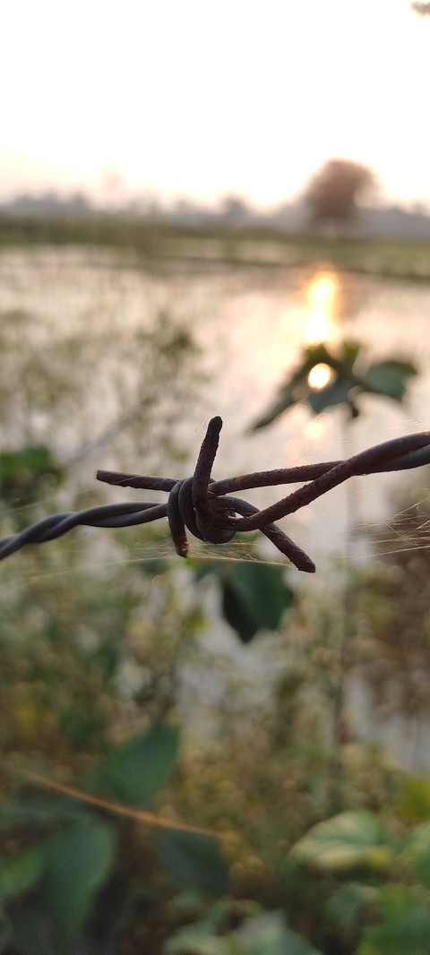 wire