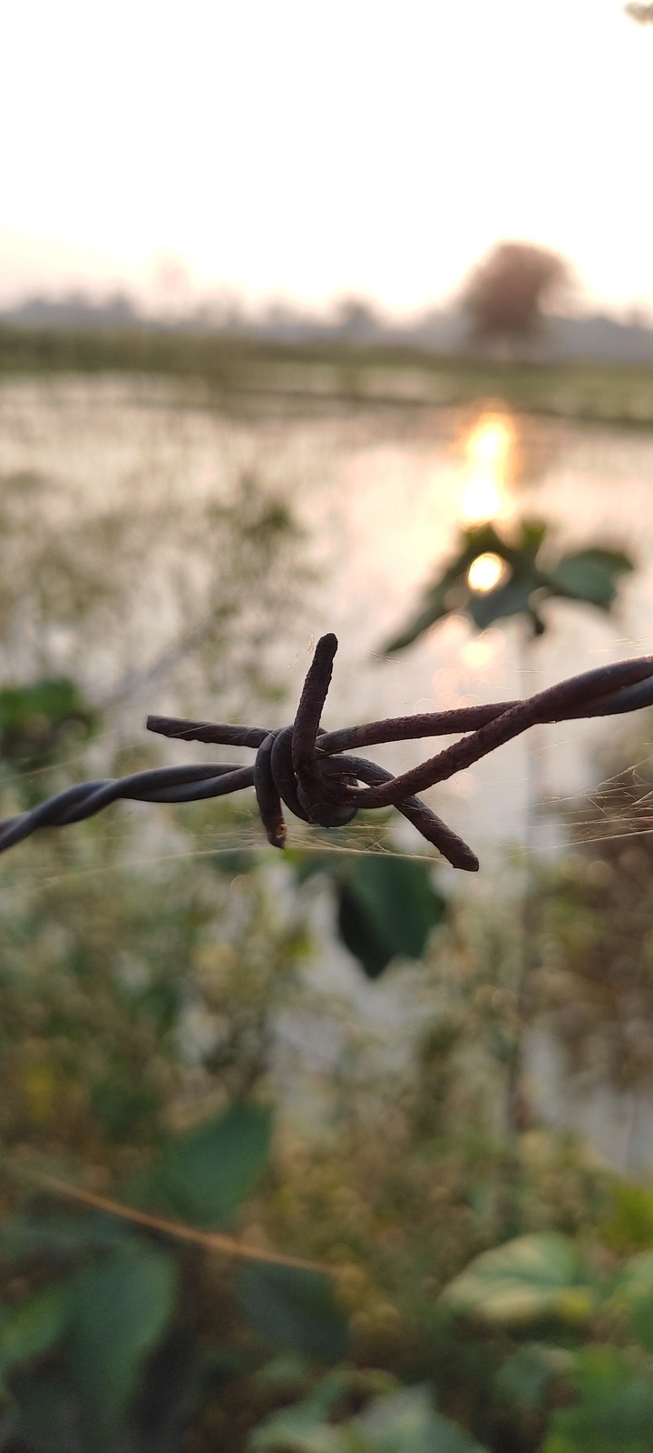 wire