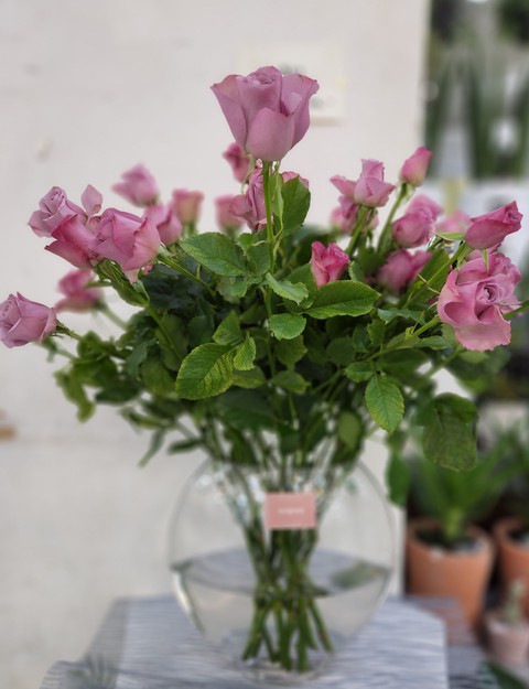 petal, flower वॉलपेपर