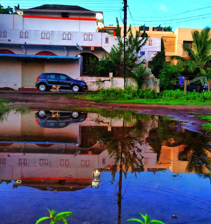 reflection