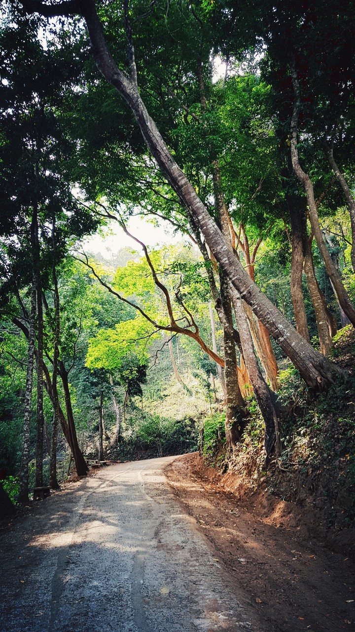 Way to mountain