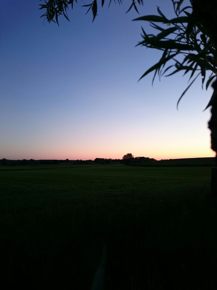 Abendstimmung