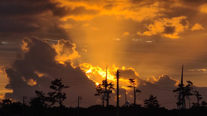jeju