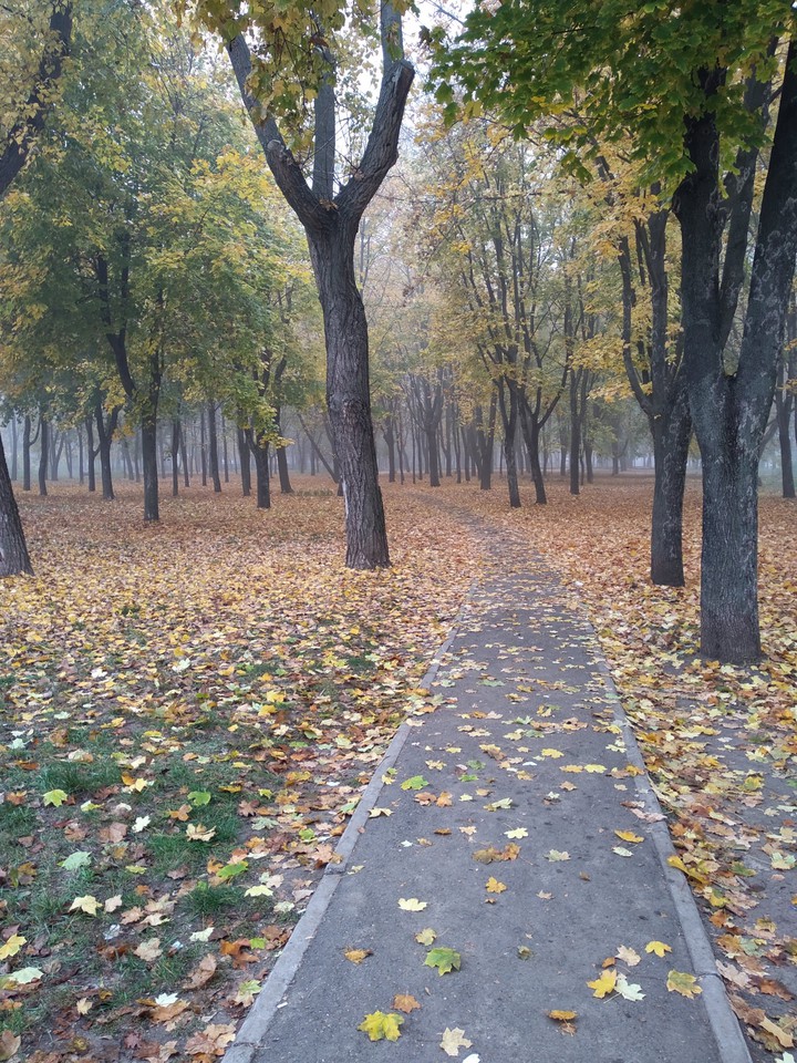 осень