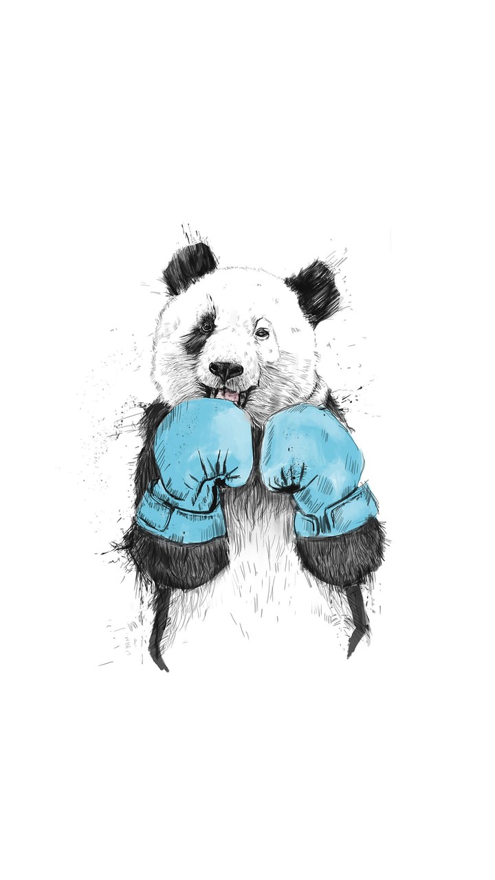 boxing panda