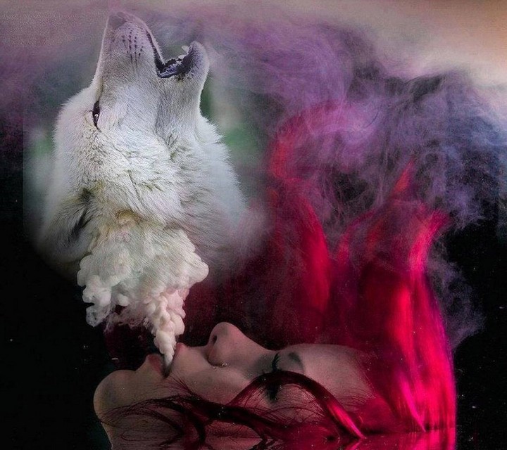 wolf