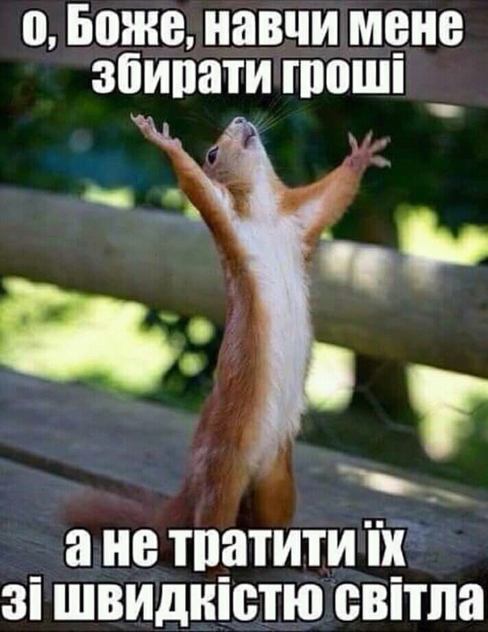 бідна білка...