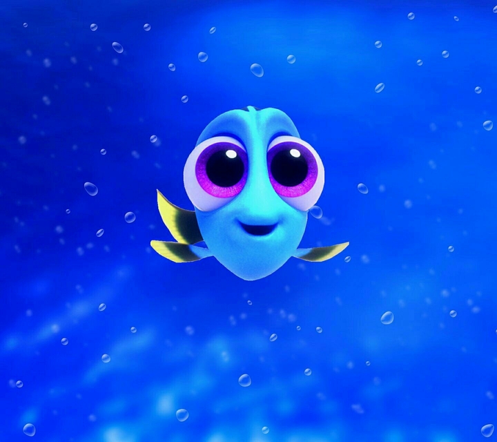 Dory