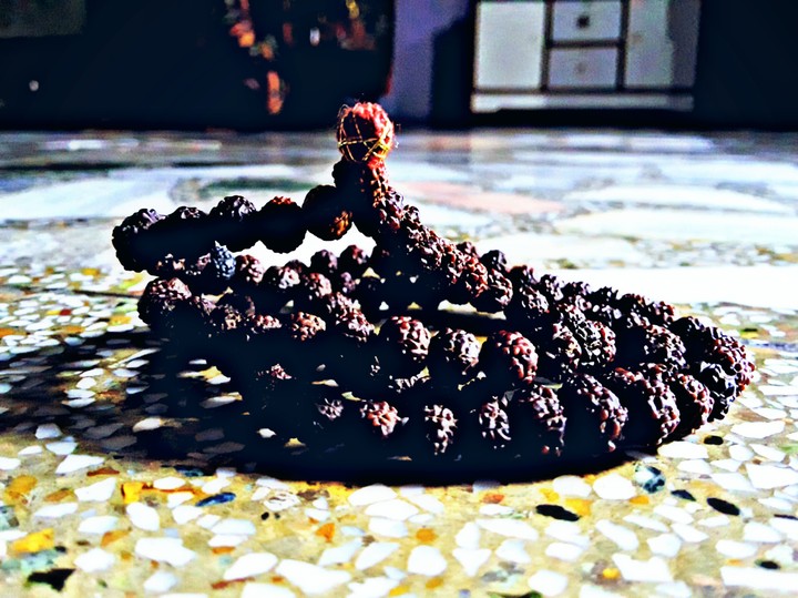 Rudraksh....