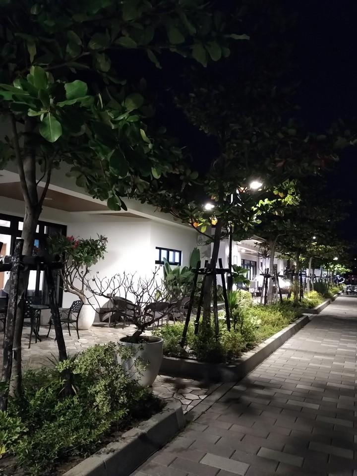peace night