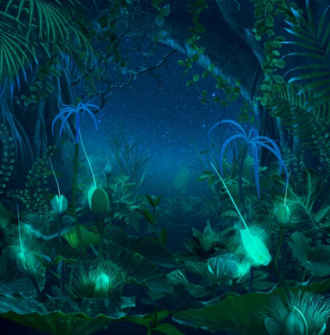 fonds d'écran neon, algae