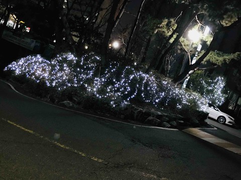 light in night