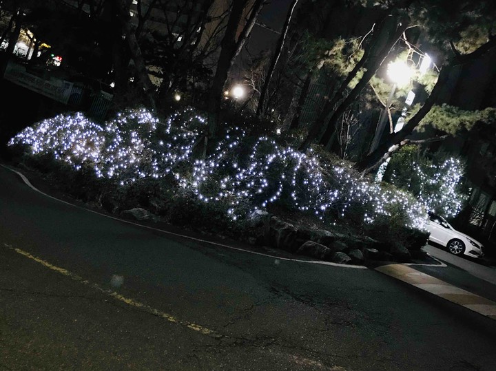 light in night