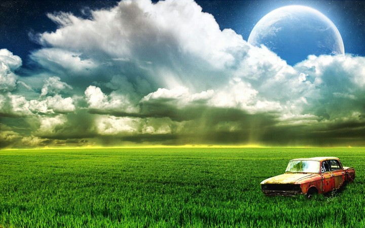 nature with old car