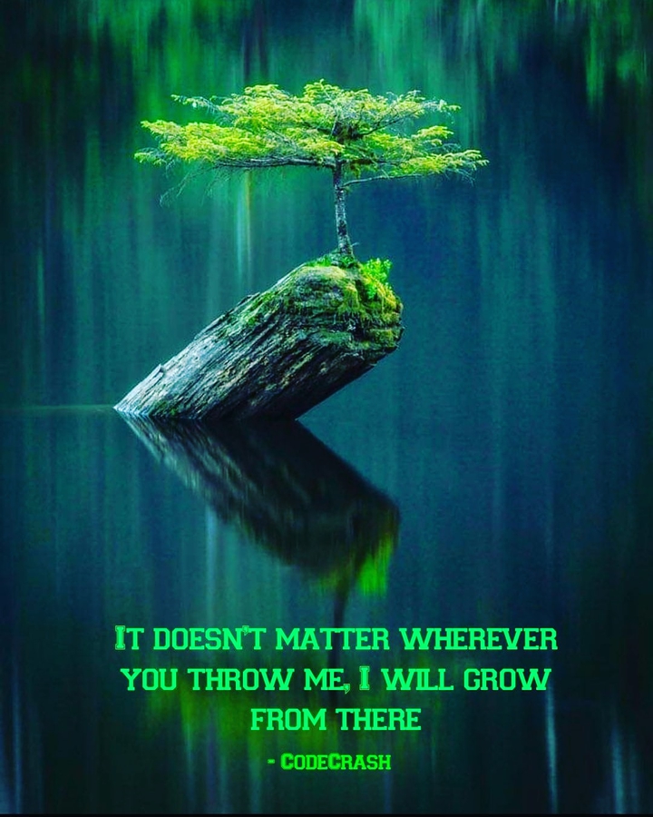 Inspirational Quote