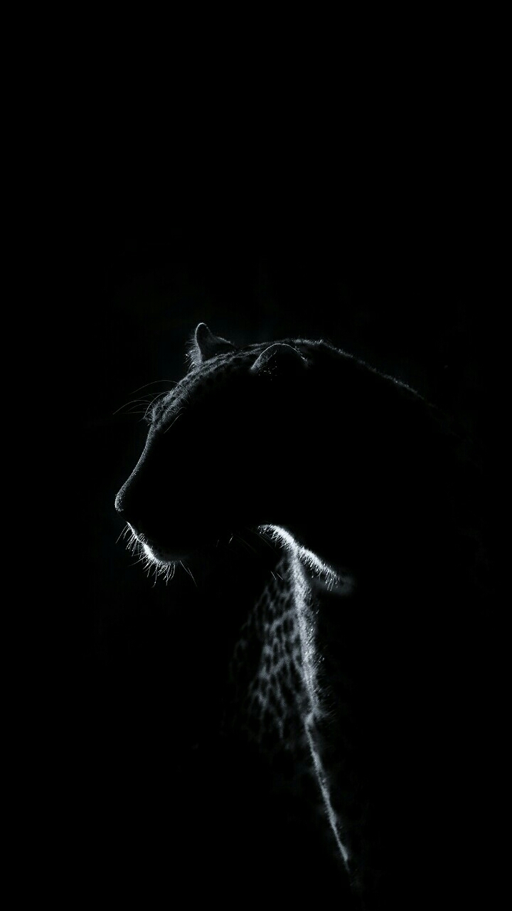 Black Panther