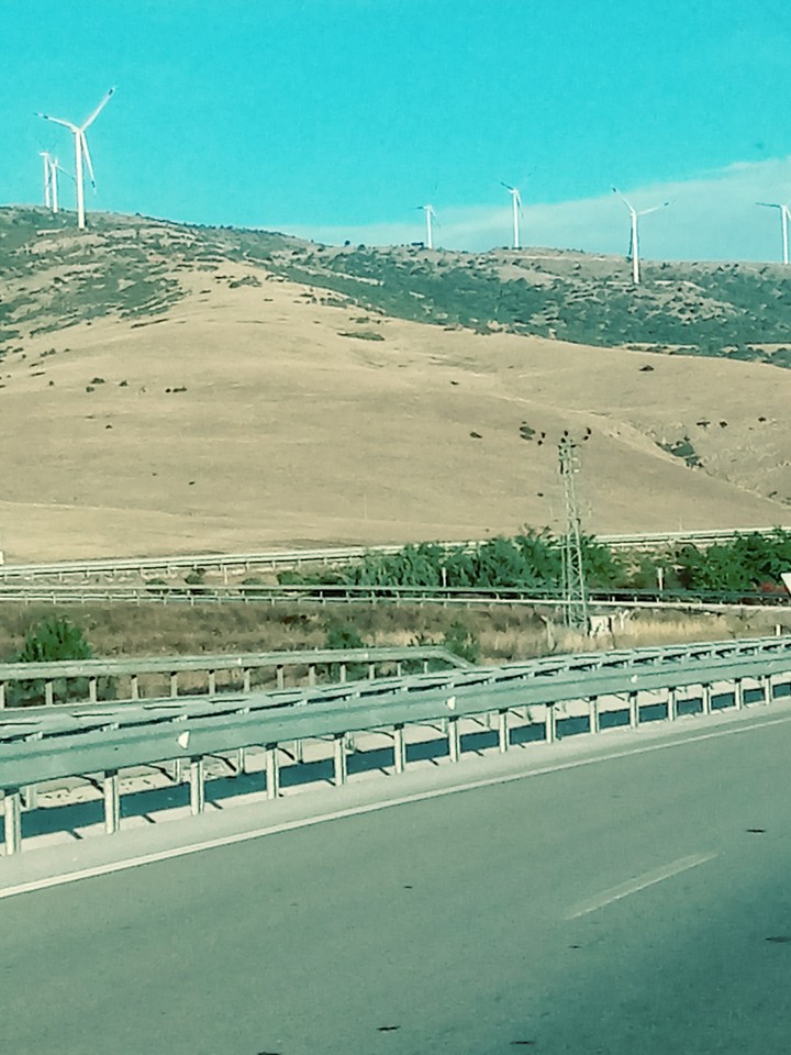 rüzgar gülü