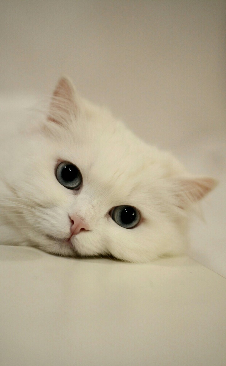 cute
