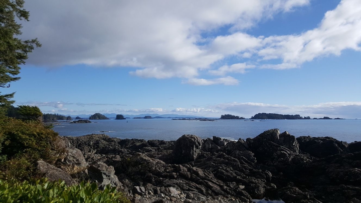 Ocean view